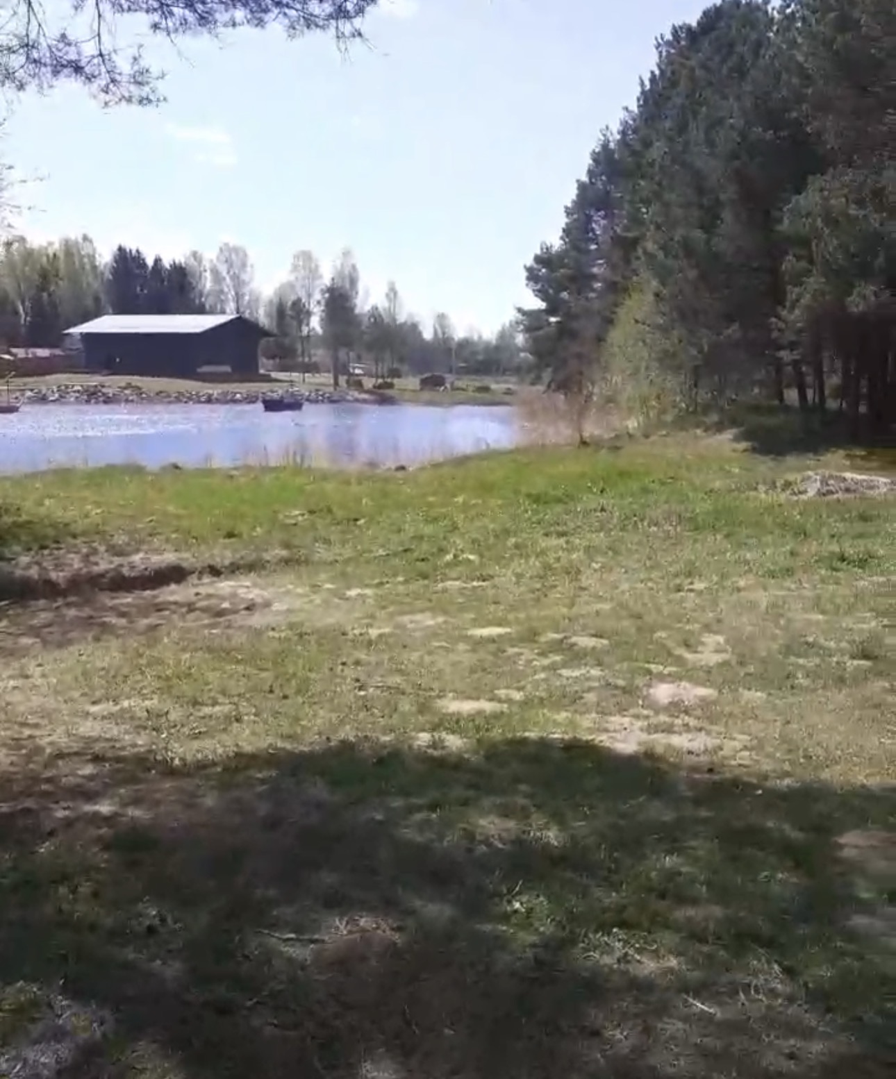 Участок у леса в Псковской обл.